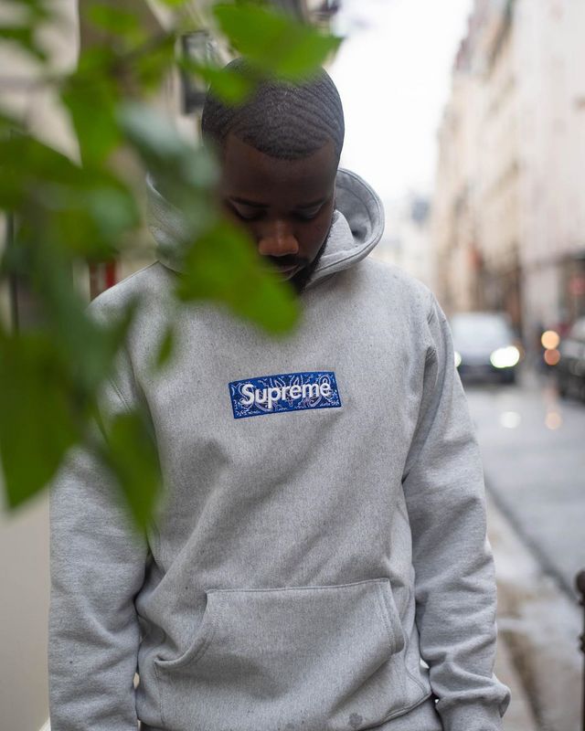 Supreme   シュプリーム   定番スタイルのフード付きスウェットシャツ  2色兼用 男女兼用 レディース メンズ    E513