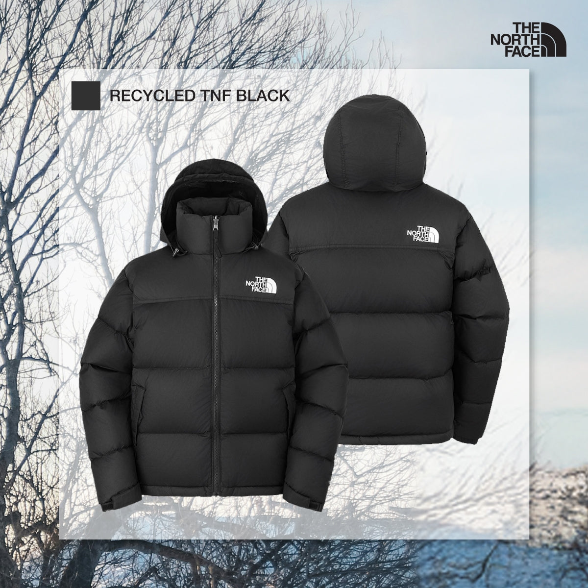 THE NORTH FACE ダウン ジャケット男女兼用 フ一ド収納可能