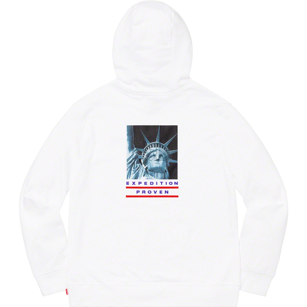 Supreme × The North Face 自由の女神 パーカー